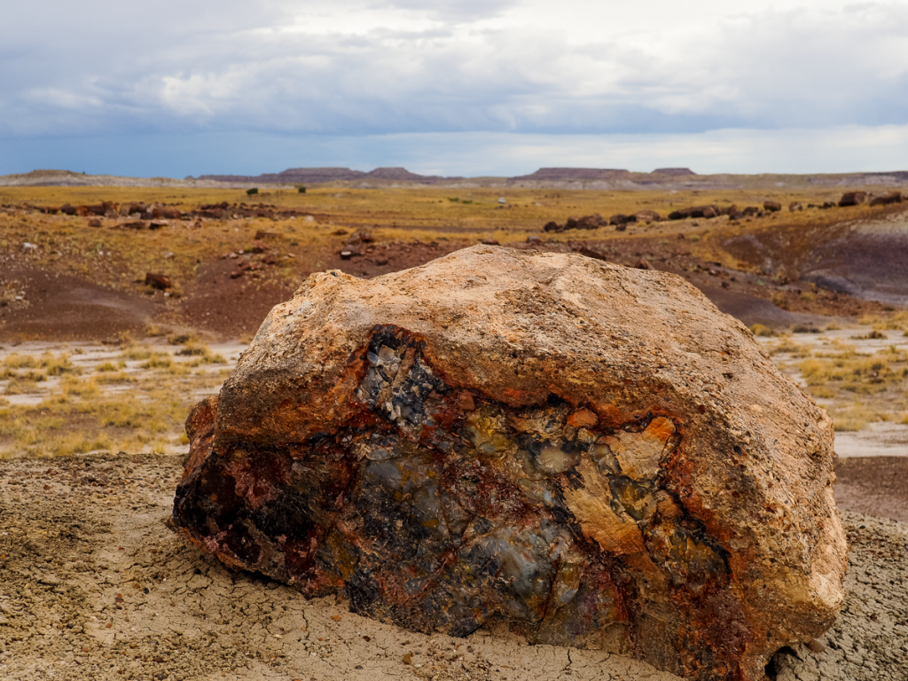 Petrified wood at Petrified Forest National Park