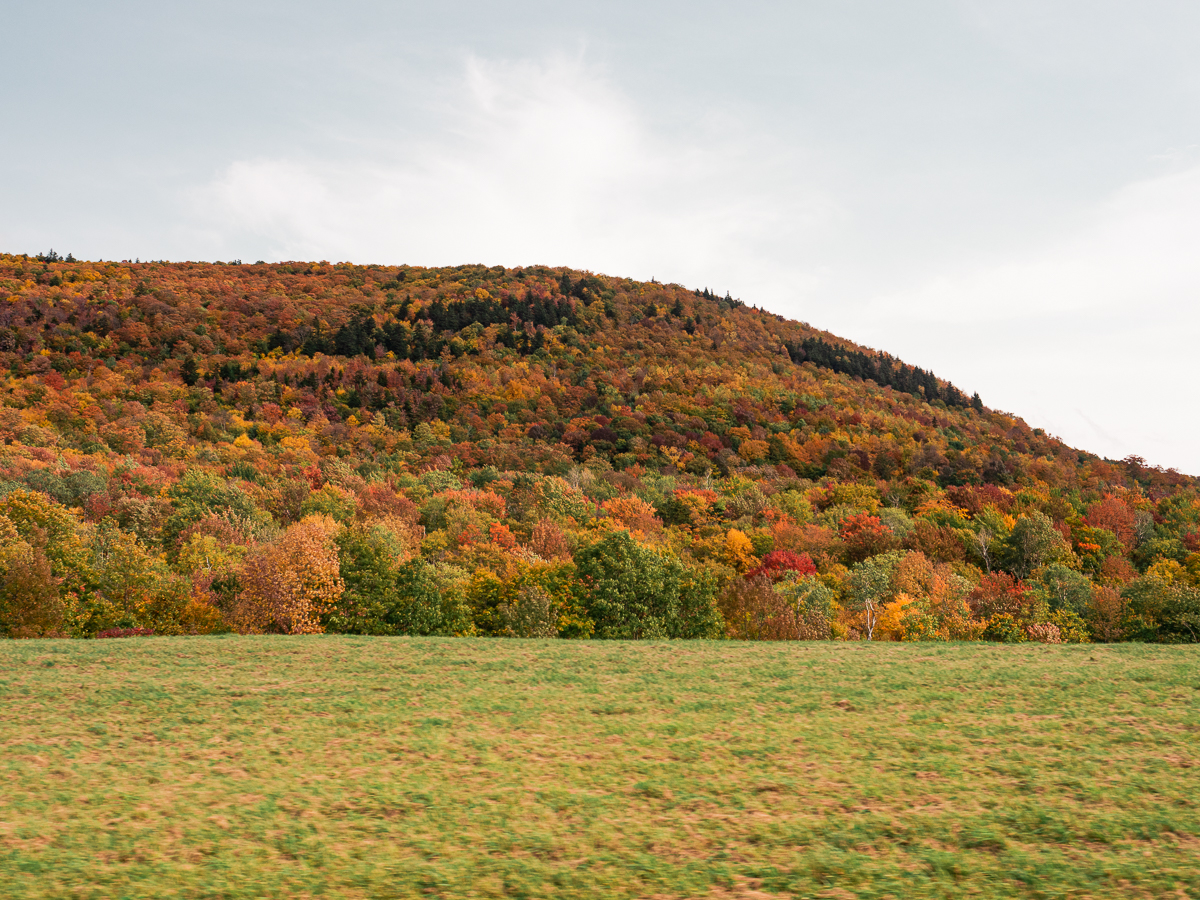Stunning views of the orange, yellow and green trees in Upstate New York