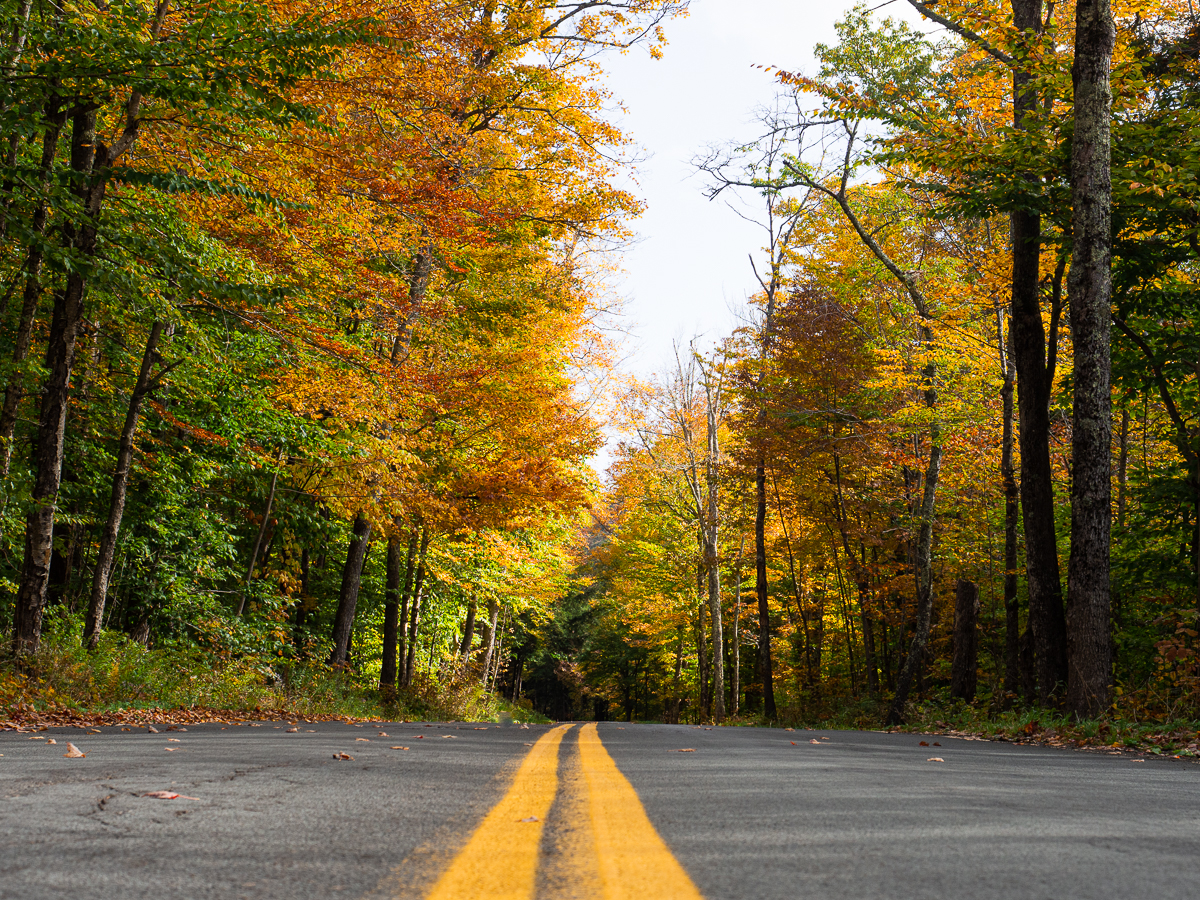 Picture of an empty road in the Catskills with beautiful fall foliage