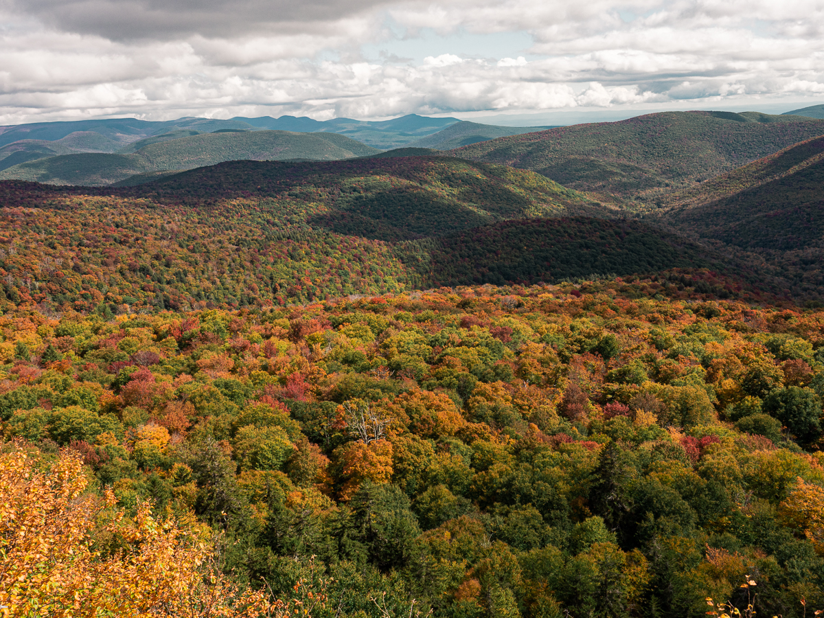 See the colourful fall foliage while hiking Giant Ledge in the Catskills