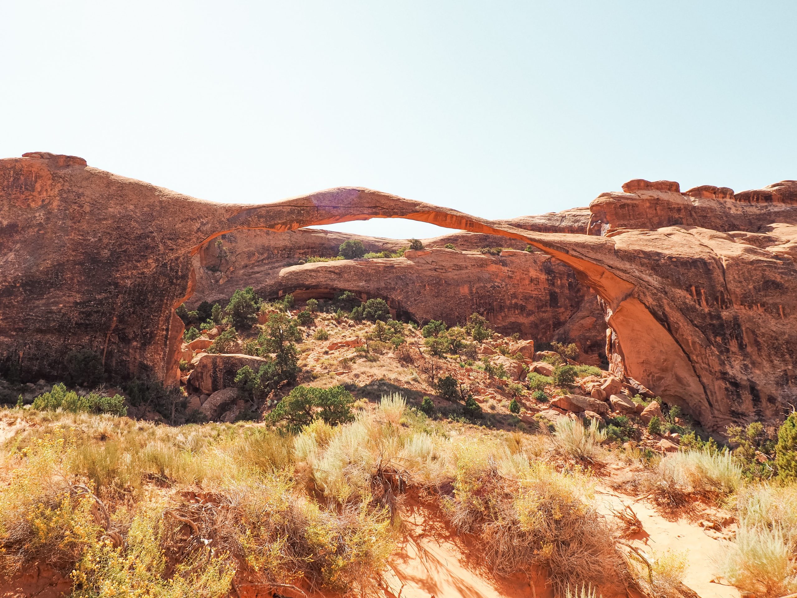 The long arch of Landscape Arch in sunlight
