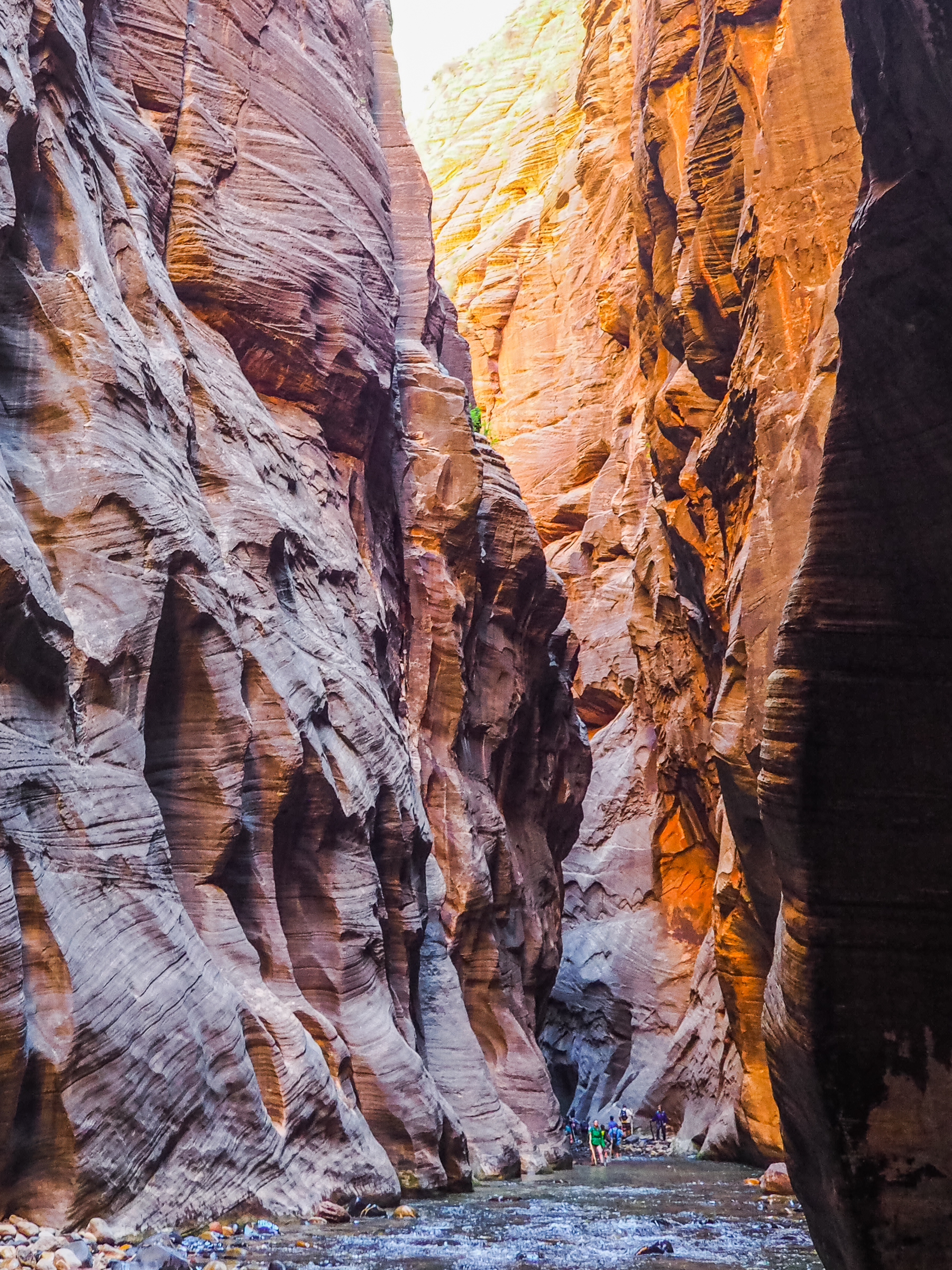 Surrounded by the high canyon walls while hiking The Narrows in Zion National Park