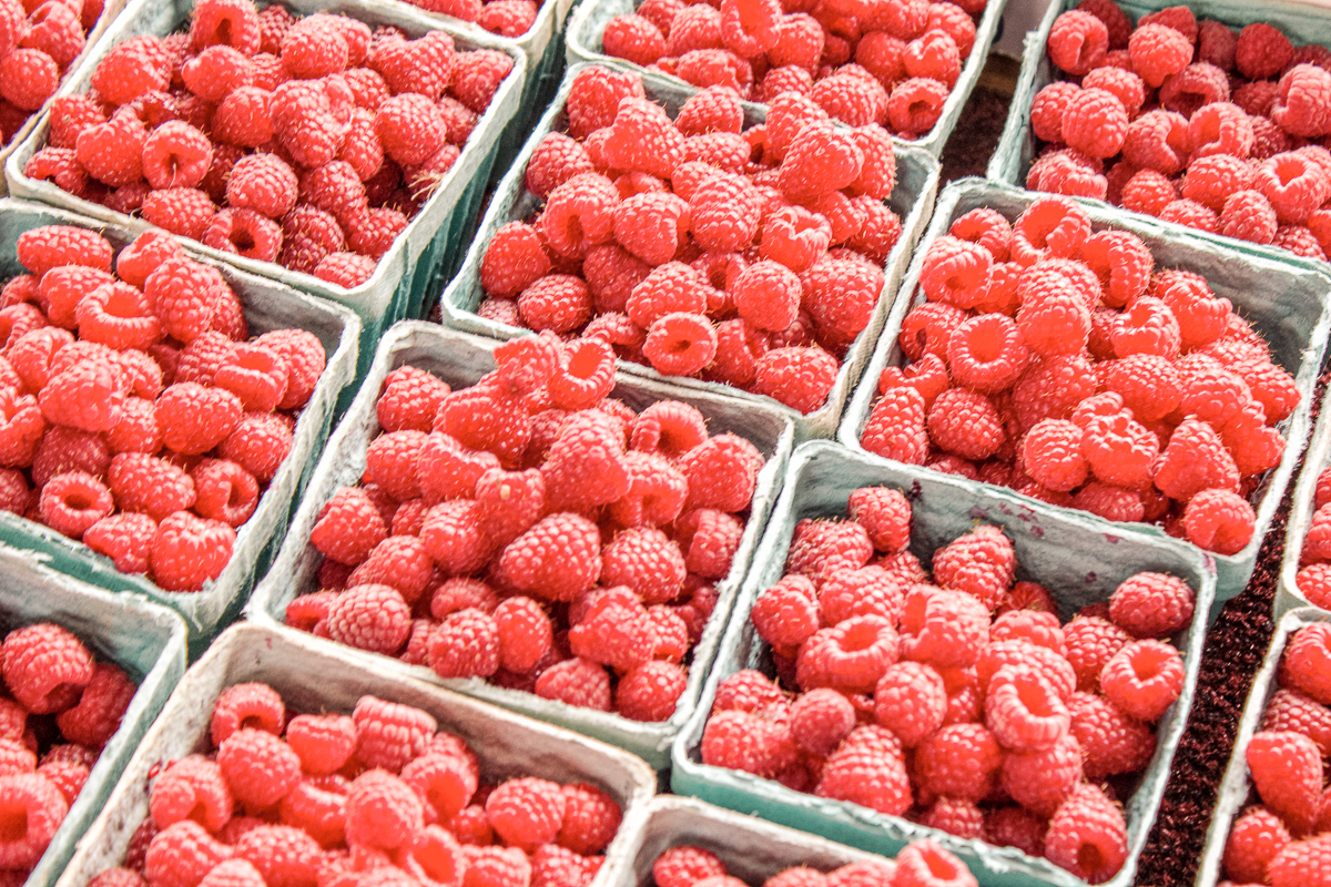 Pink raspberries packed in cartons to sell