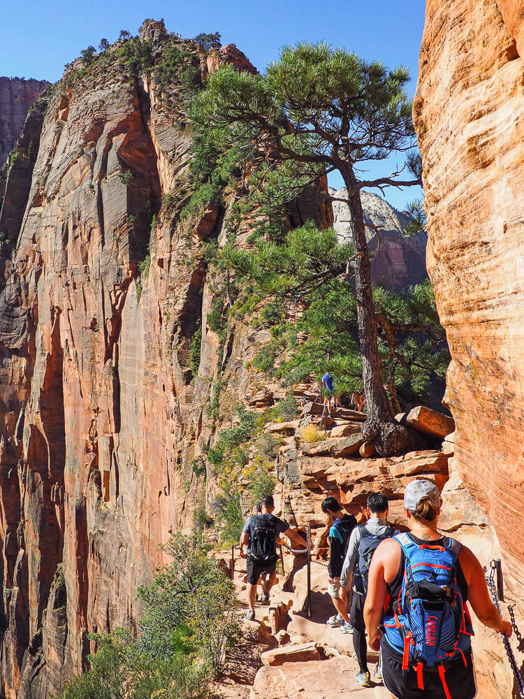 Rachel passing a very narrow section of Angels Landing