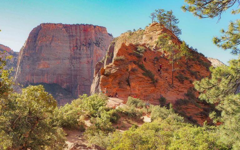 13 Best Hikes in Zion National Park to Explore
