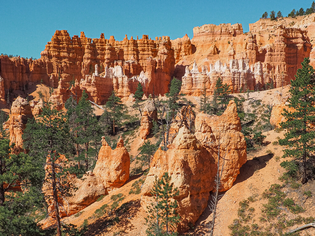 A wall of Hoodoos on the Queens Garden and Navajo Loop Trail