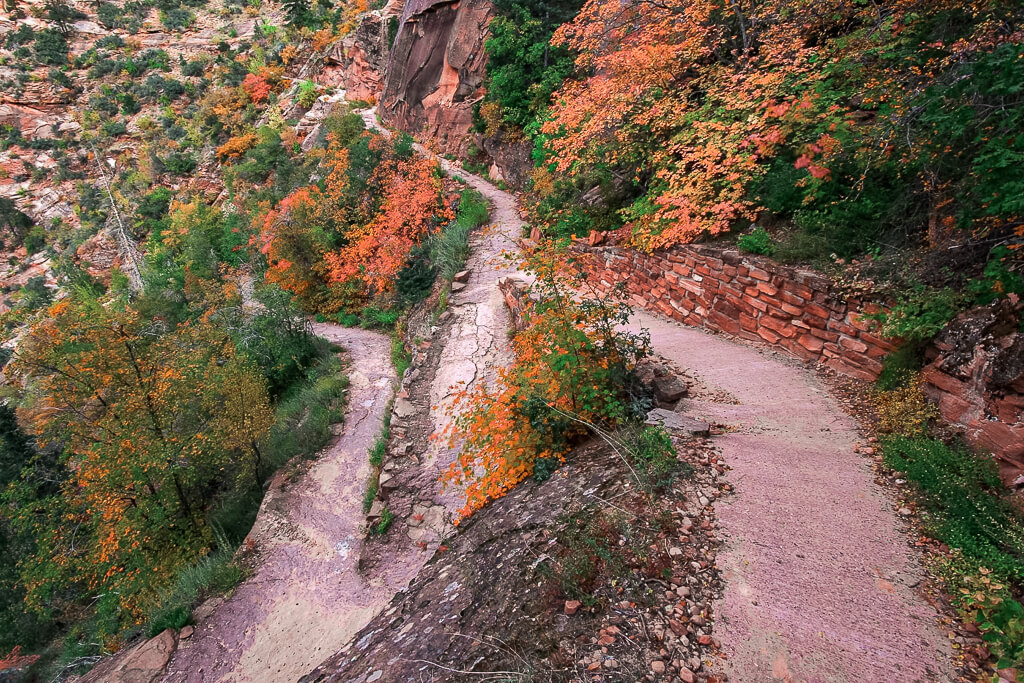 Switchbacks up on one of the best hikes in Zion