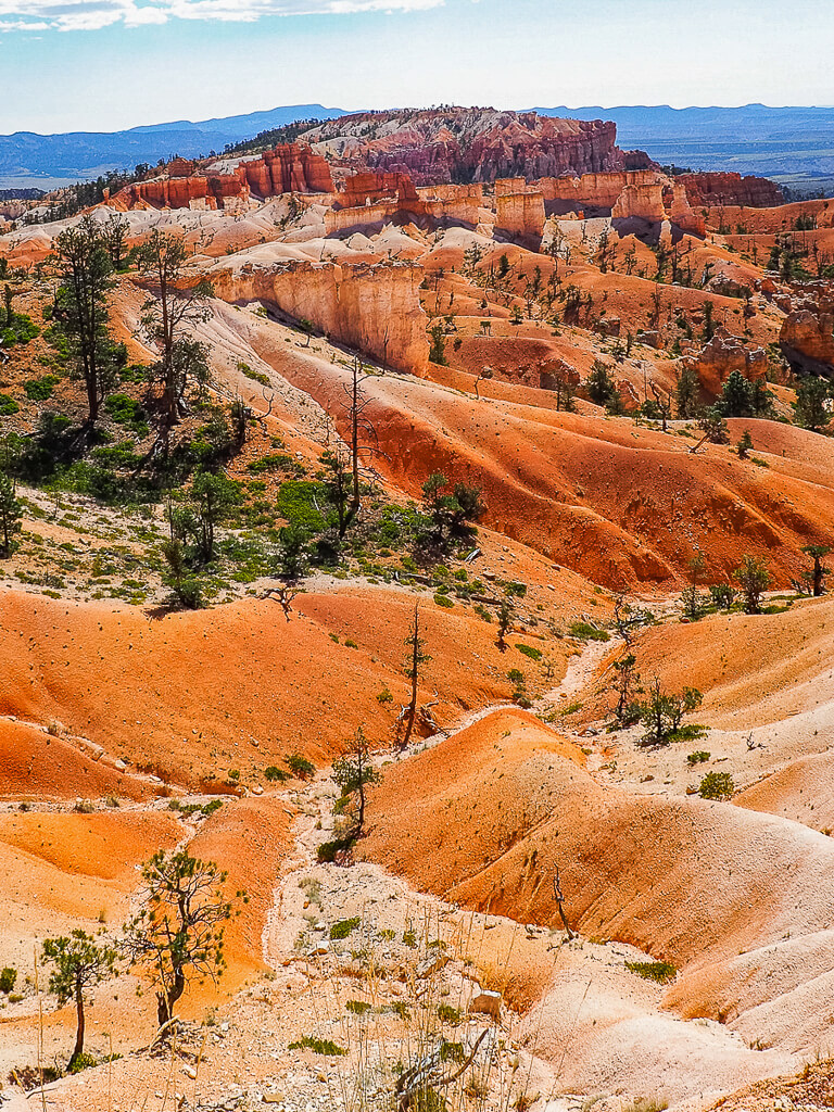 Overview of the hoodoos at Sunrise Point Bryce Canyon
