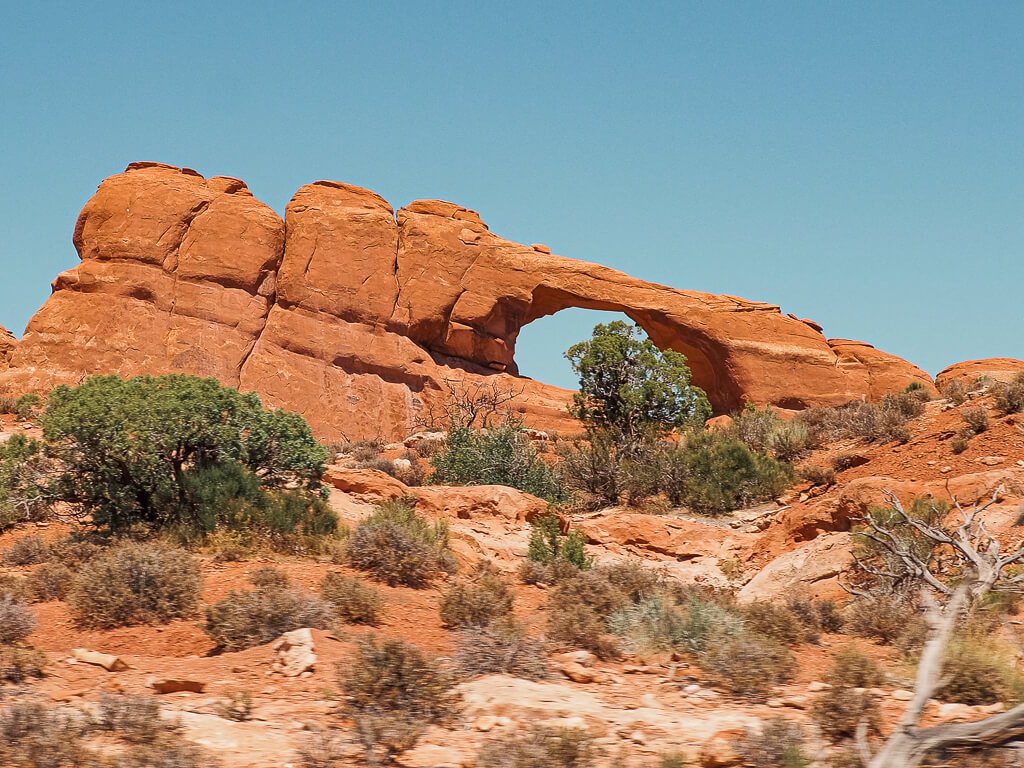 The cricket Skyline Arch from the Scenic Drive