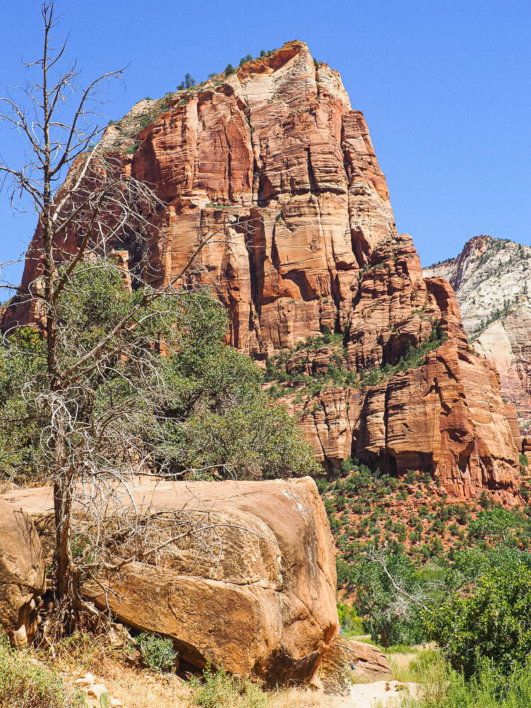 Famous Angels Landing rock formation in Zion