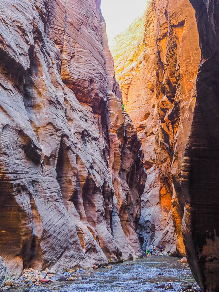 A Guide on How to Hike The Narrows in Zion National Park