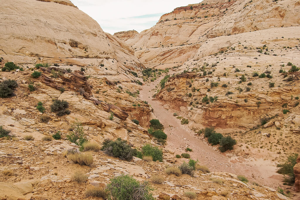 Take the trail through a white canyon when you hike Capitol Reef