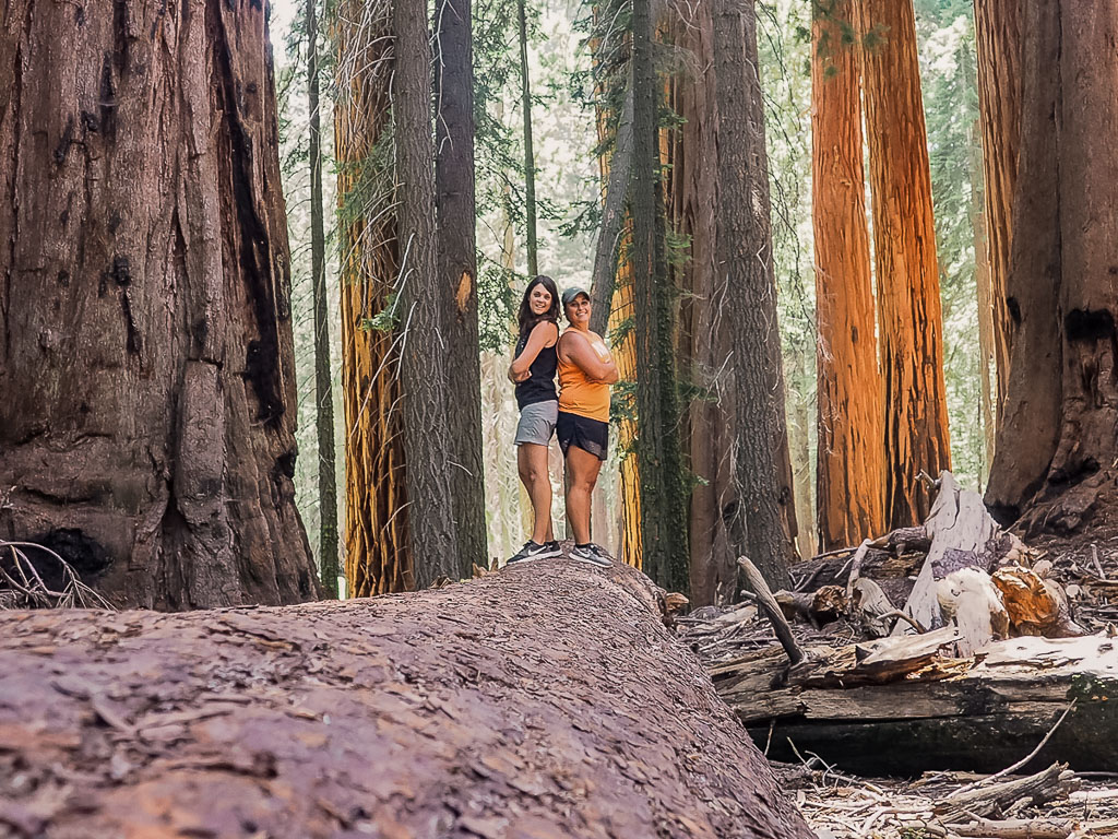 Us standing on a massive tree trunk in Sequioa National Park