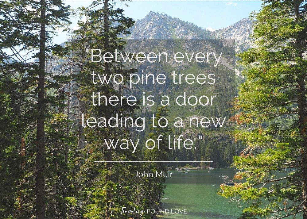 Hiking quote with pine trees and a lake in the background