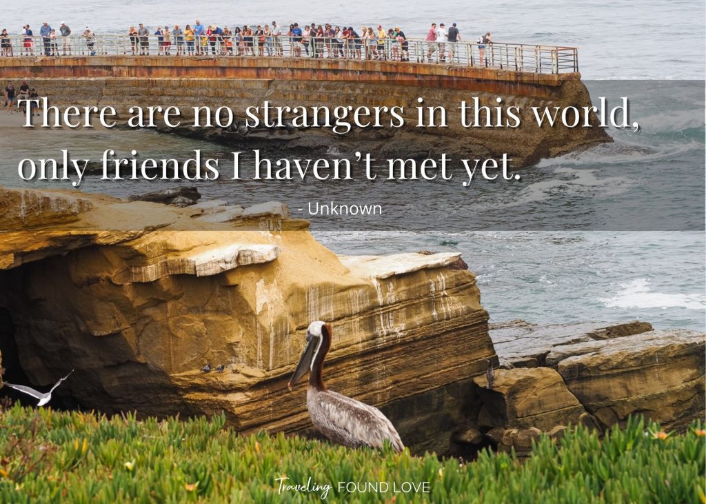 Travel Partner Quotes with a group of people looking at the sea lions in the background