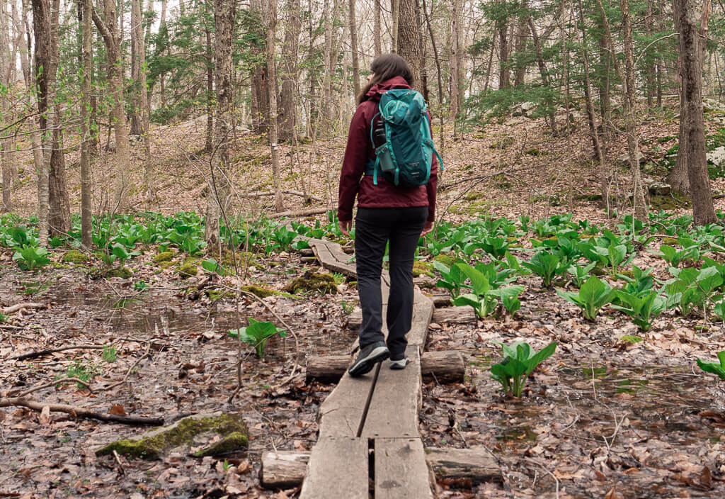 Dana hiking with her Deuter backpack